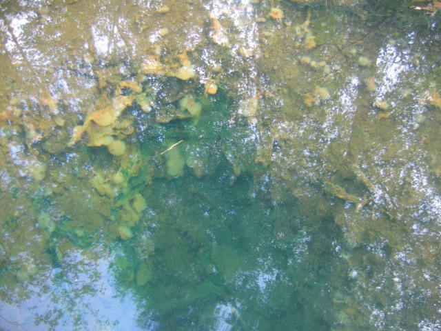 Воклюз,глубина 120 м