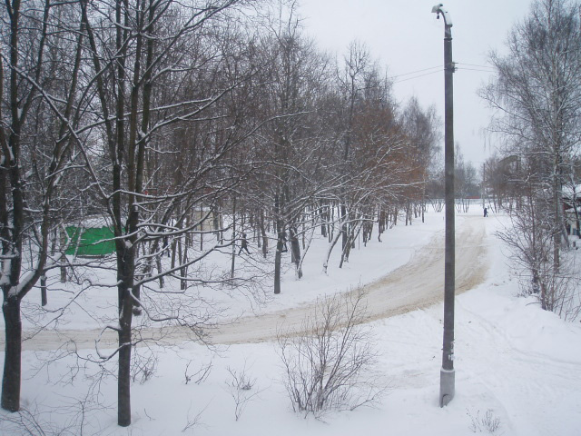 17.jpg
