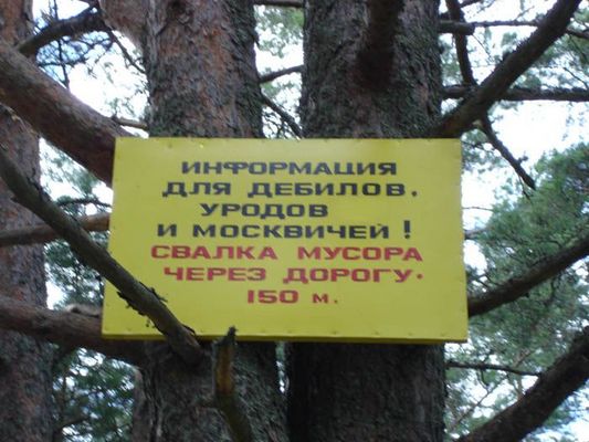 normal_user-93-1124868112.jpg