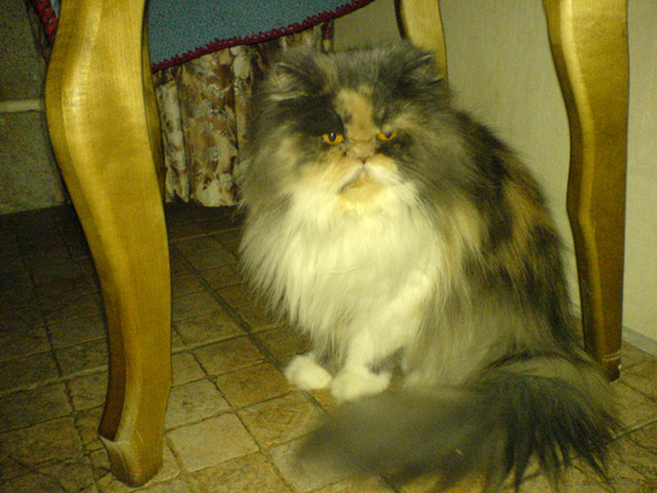 DSC00198.JPG