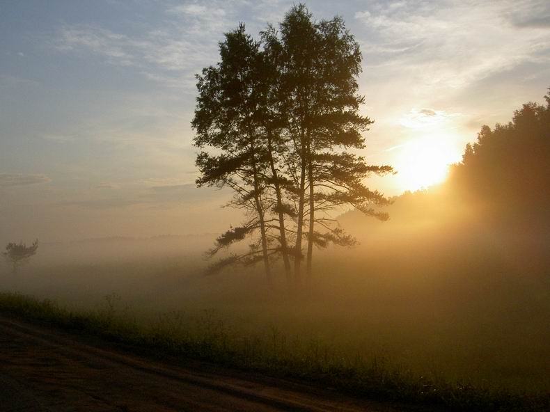 PICT3673.jpg