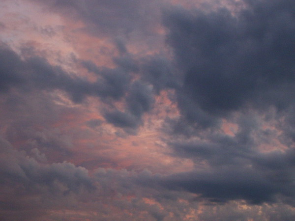 IMGP1074.jpg