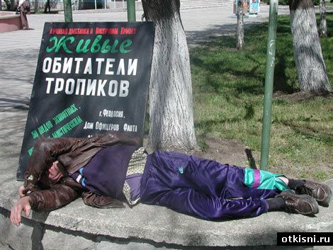 otkisni_ru_469.jpg