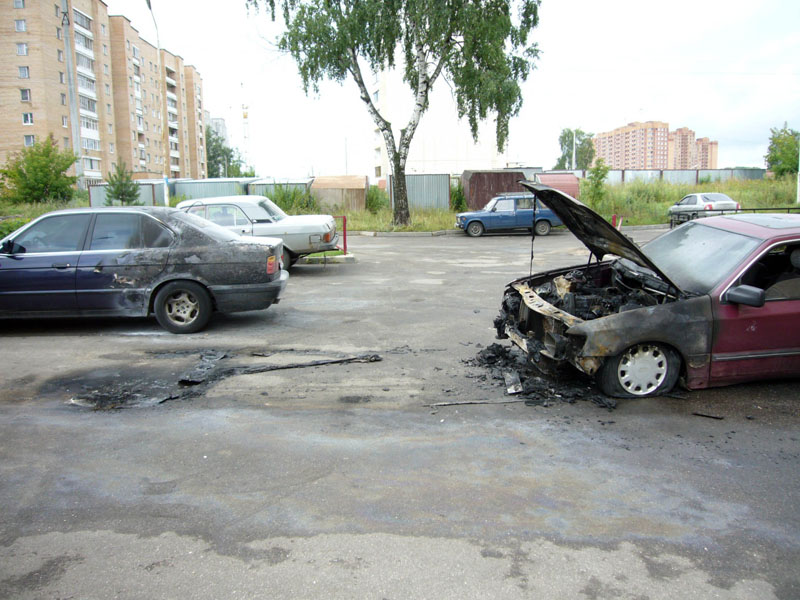 P1000178_1.jpg