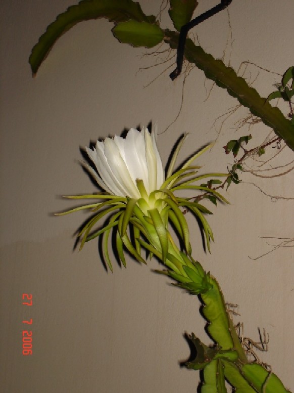 1DSC01558.jpg