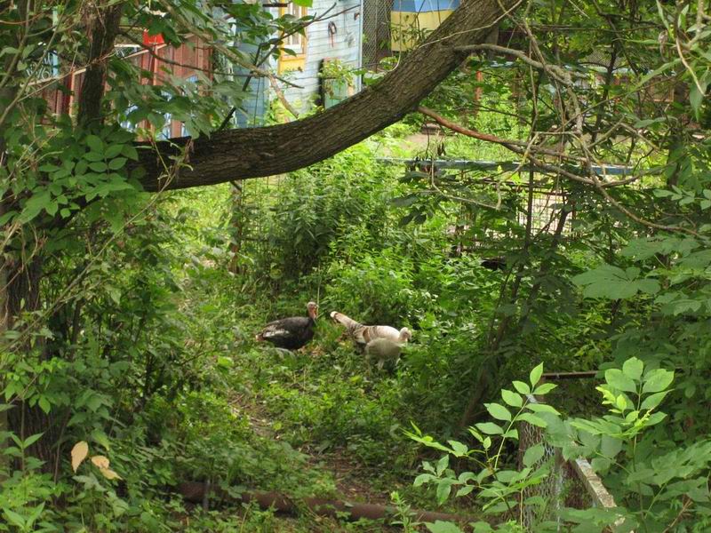 Resize of Resize of 64.JPG