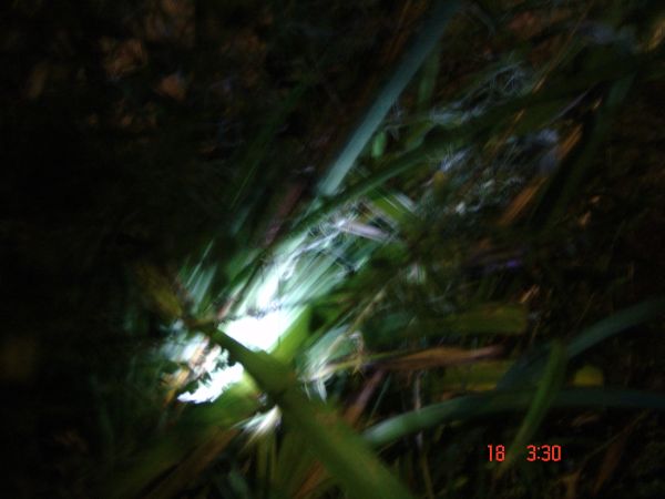 DSC01293.jpg