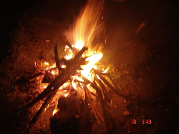 DSC01305.jpg