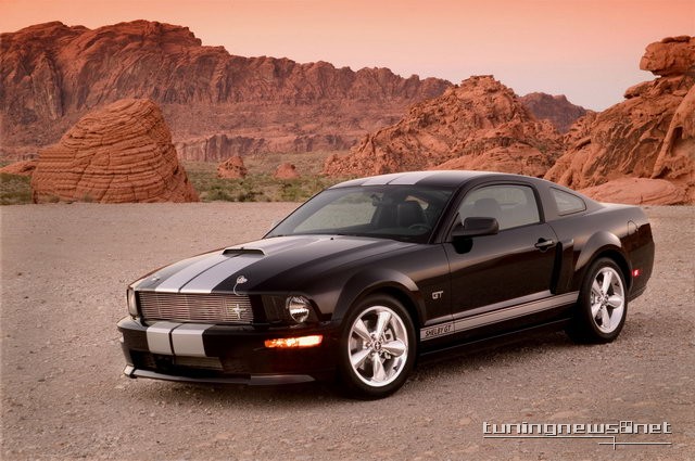 ford-shelby-gt-02.jpg