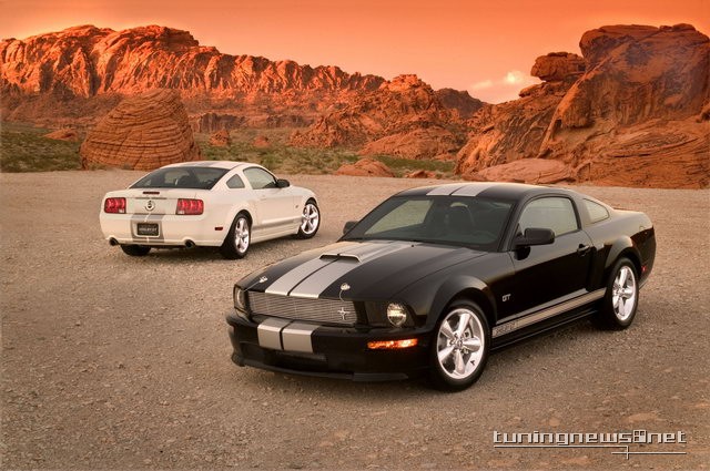 ford-shelby-gt-07.jpg
