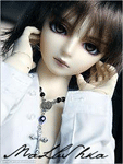 dall13.gif
