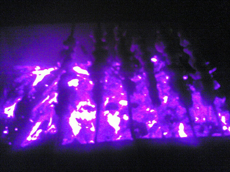 Ночной шашлык.jpg