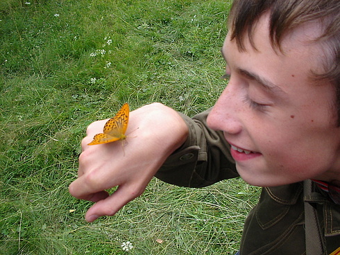 30918452.jpg