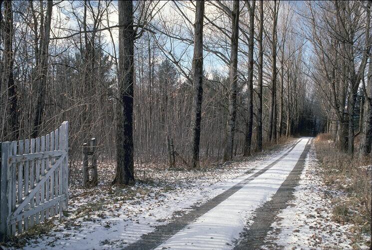 199018.JPG