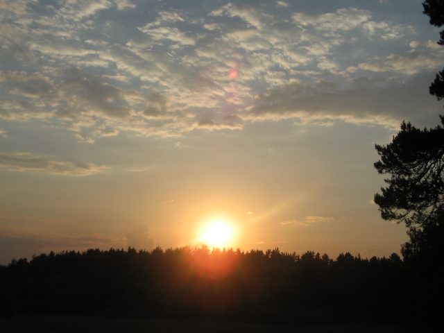 Д.Р.Удакаи Тимохи,OpenAir 195.jpg