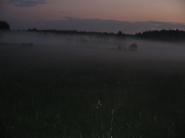 Д.Р.Удакаи Тимохи,OpenAir 196.jpg