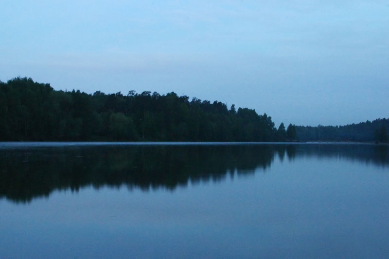 z96.jpg