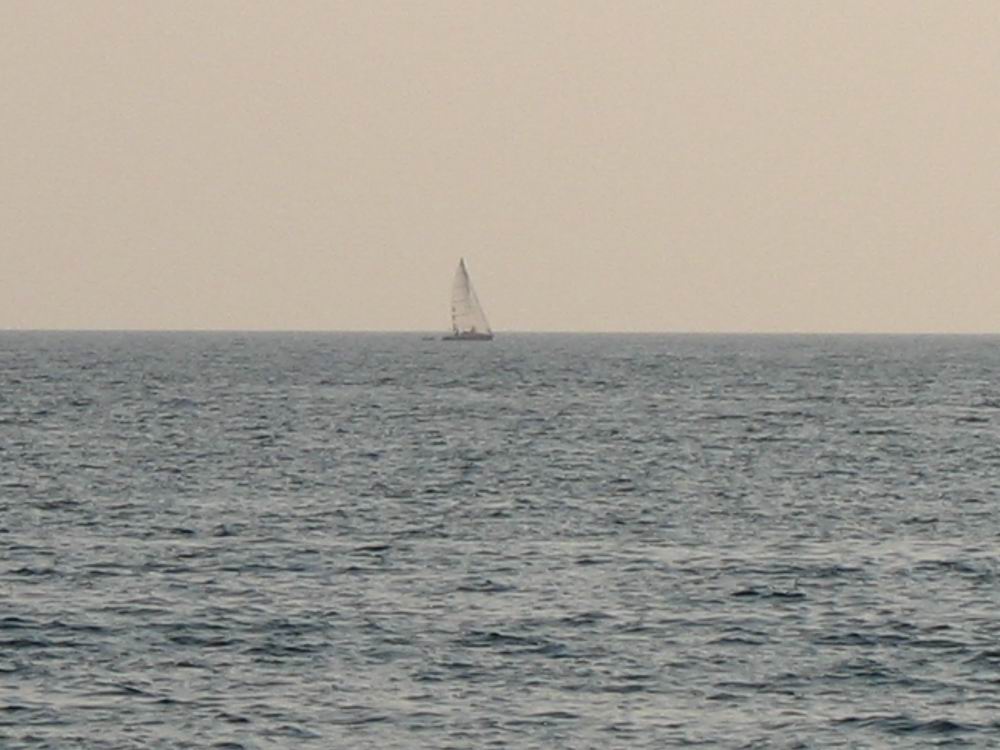 IMG_0458.jpg