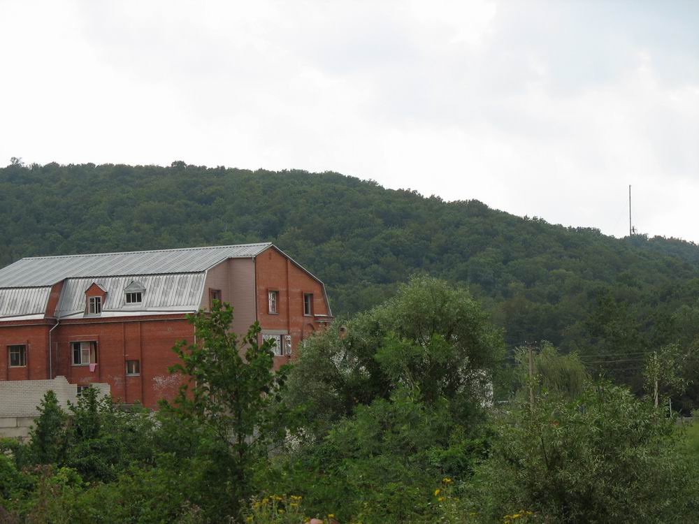 IMG_0598.jpg