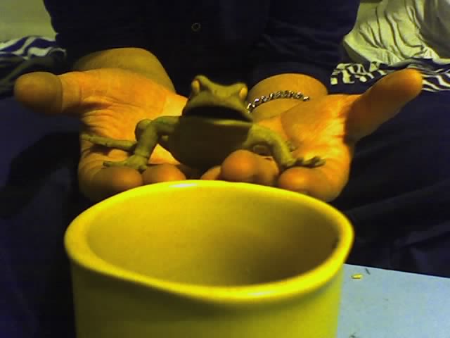 17-09-06_0050.jpg