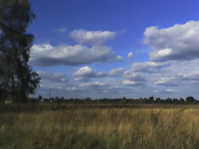 Поле