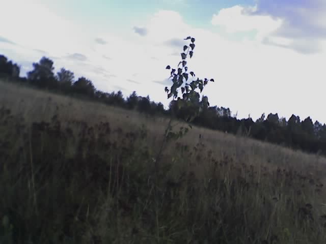 Растенице...