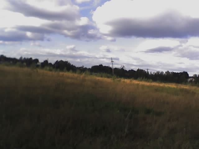 бескрайнее поле... с согнутым от радиации столбом...