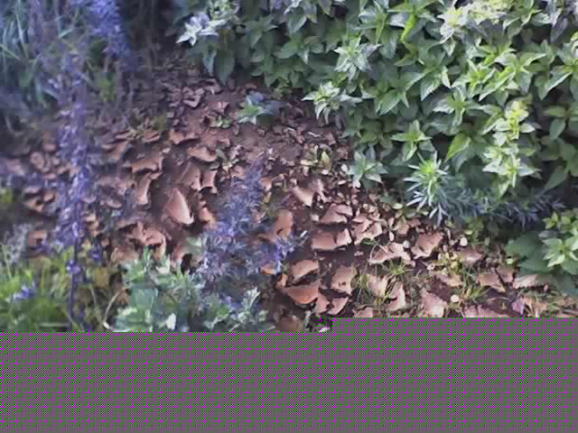 такая там земля...