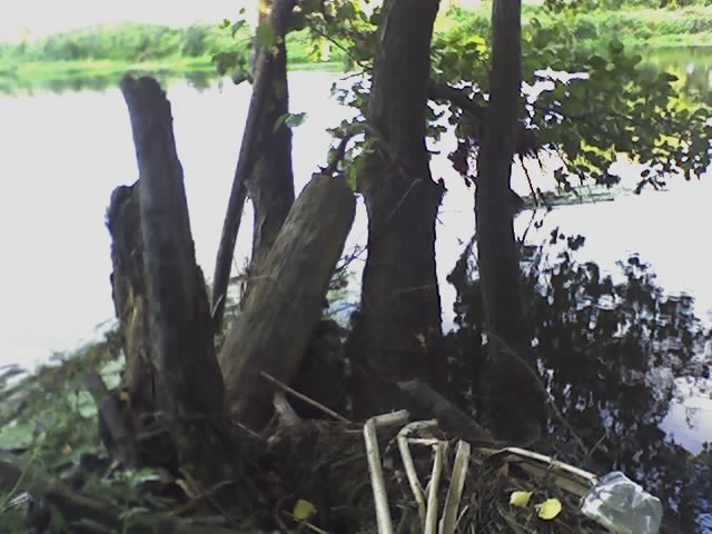 возле водички...