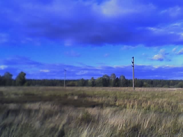 какие краски...