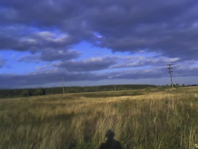 вот такая вот природа...