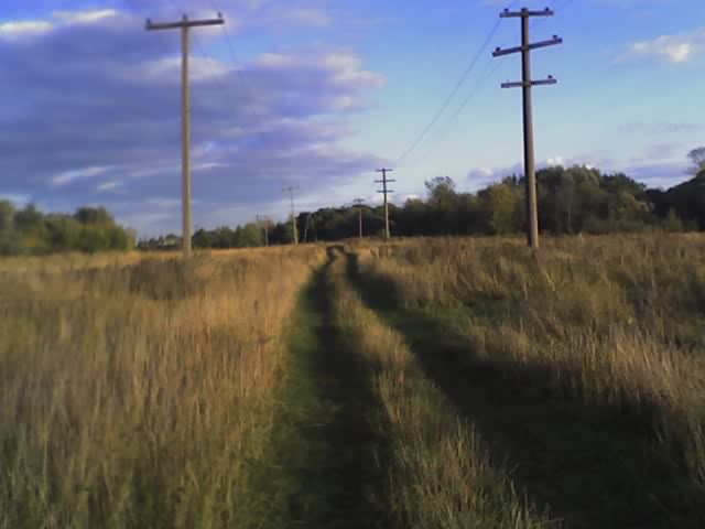 go ближе к дому...