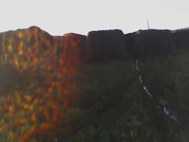 это типа трава...