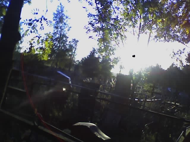 Земля мертвых