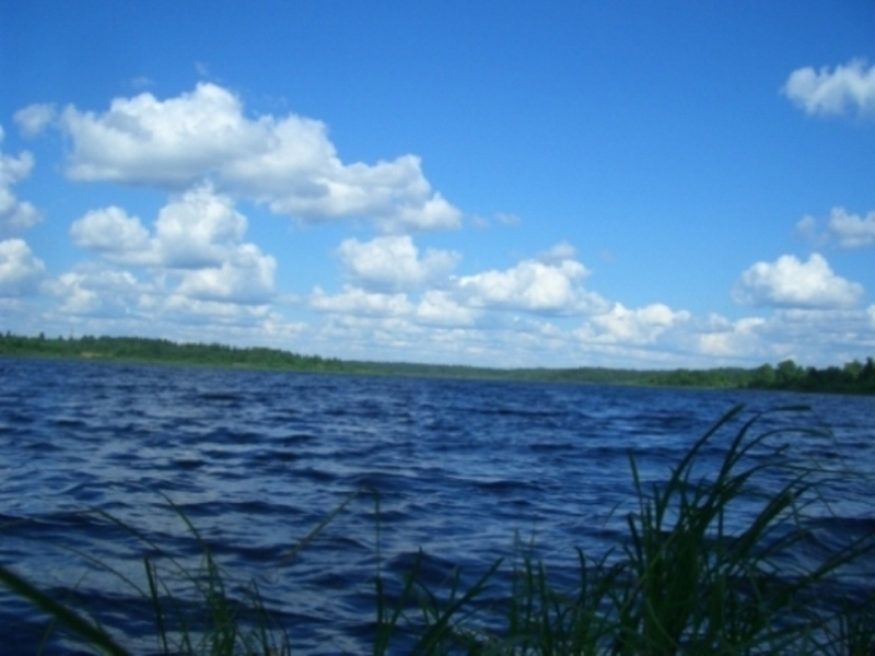CIMG0450.JPG