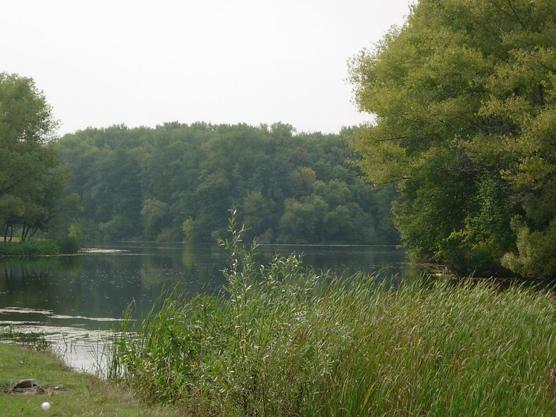 Тамбов)