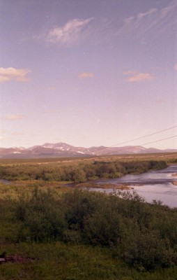 Плёнка011.jpg
