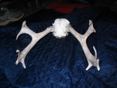 Полярный Урал-2005 213.jpg