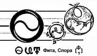 fita.jpg