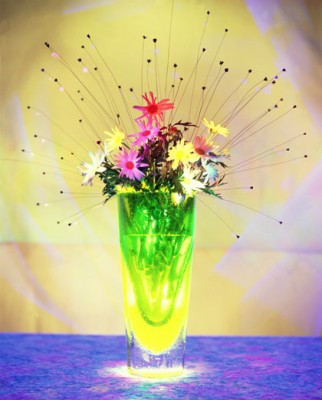 Daisies.jpg