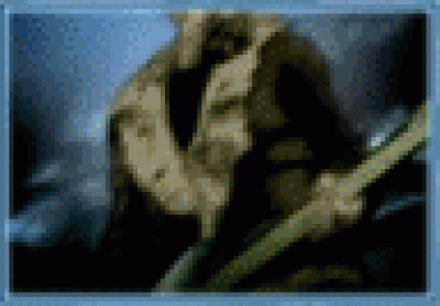 BtH.gif