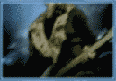 sdc.gif