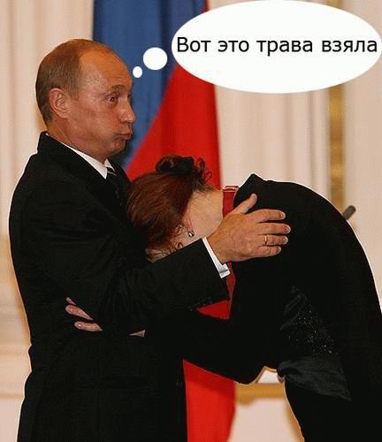 10_podborka_2.jpg