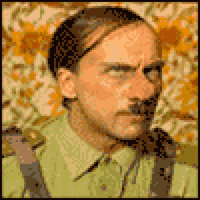 Дикий прапор.gif