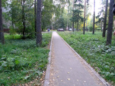 P9247848_.jpg