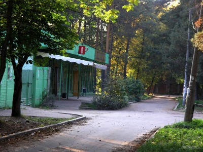 P9247858_.jpg