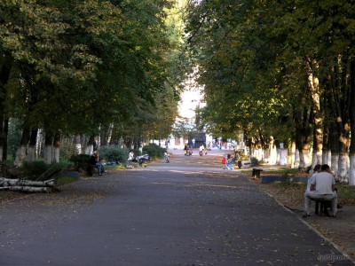 P9247863_.jpg