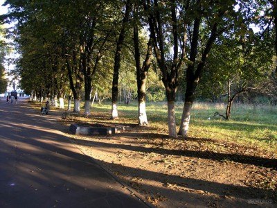 P9247869_.jpg