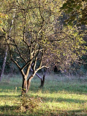 P9247870_.jpg