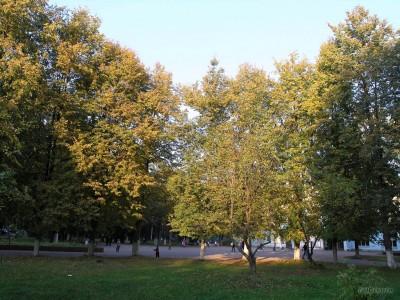 P9247876_.jpg